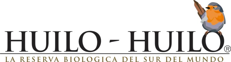 Huilo huilo logo